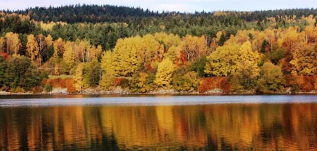Hotel Racek Černá v Pošumaví Esterno foto